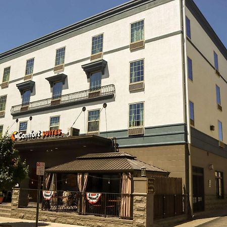 Comfort Suites Downtown Carlisle Exterior photo